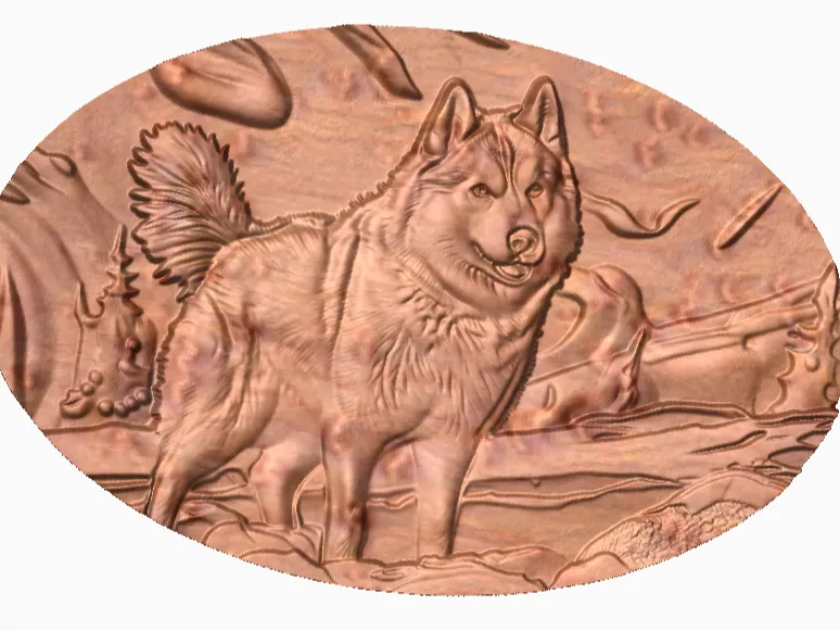 Husky Dog
