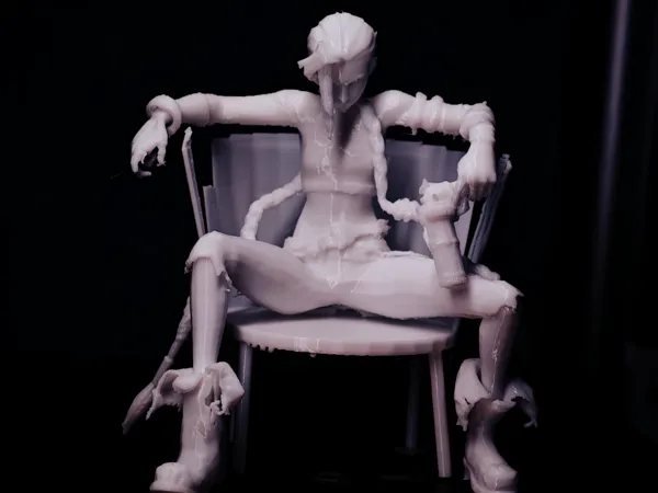 https://makerworld.bblmw.com/makerworld/model/DSM00000001294058/design/2025-04-07_8de8042e4fe89.jpg