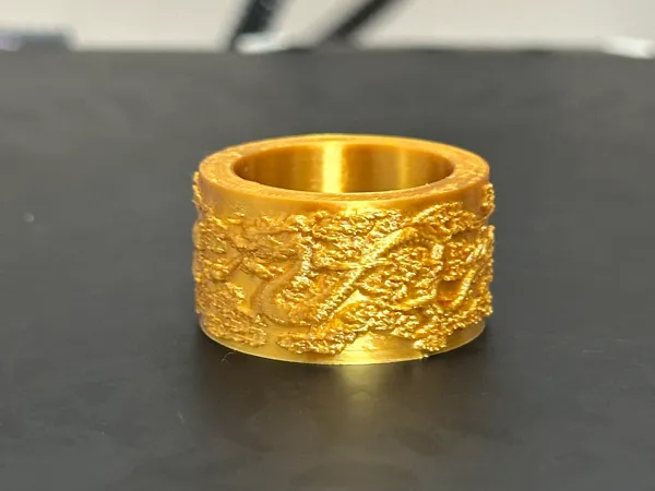 https://makerworld.bblmw.com/makerworld/model/DSM00000001294564/design/2024-12-04_b4d268b45daa6.jpg