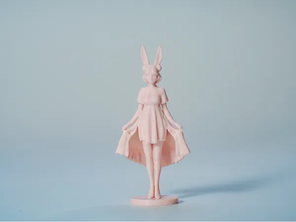 https://makerworld.bblmw.com/makerworld/model/DSM00000001294915/design/2025-04-07_3575b67b1db578.jpg