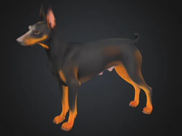 Dobermann