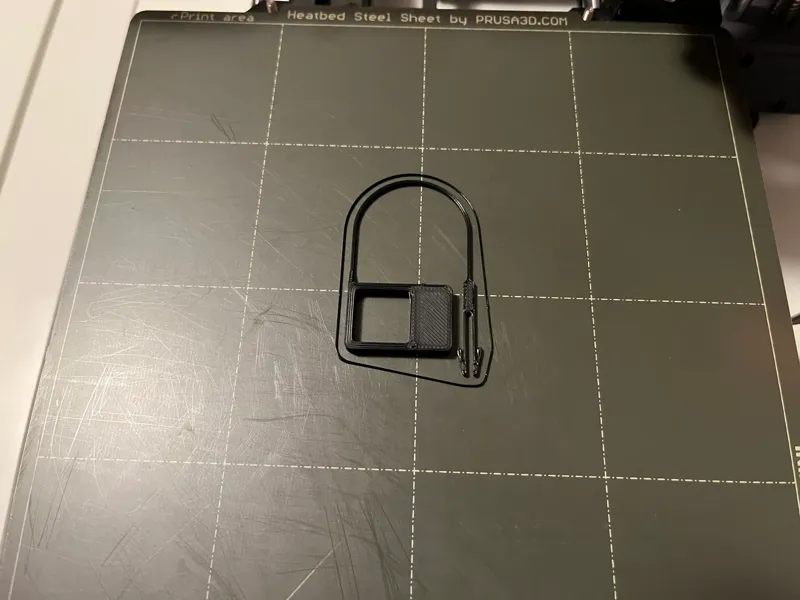 FAST Print tamper evident lock