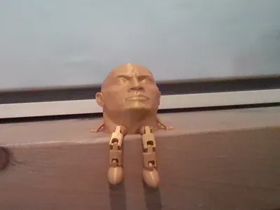 Dwayne The Rock Buddy