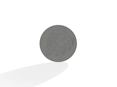 Monstera Plant Saucer