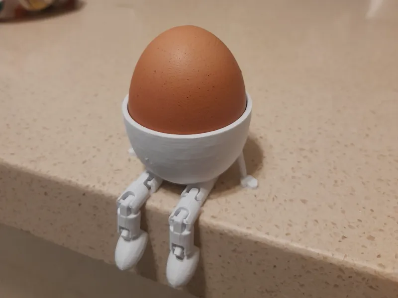 articulated egg case