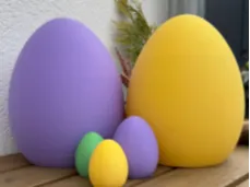 egg 