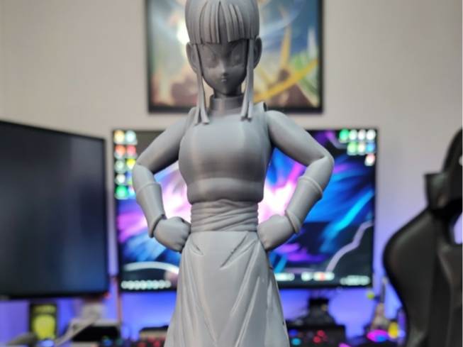Chi-Chi Z DragonBall 3D Model