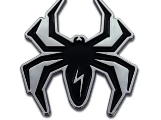 spider medallion