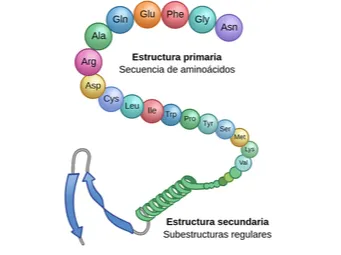 Estructuras de proteinas