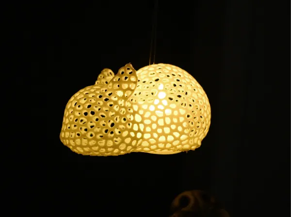 https://makerworld.bblmw.com/makerworld/model/DSM00000001300774/design/2025-04-09_e2e55a686b1.jpg