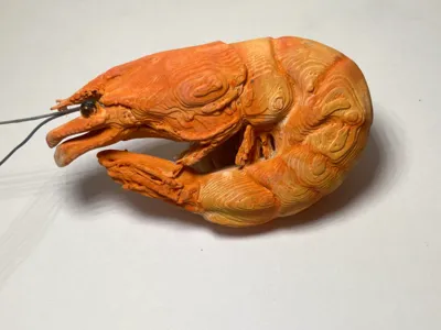Boiled Shrimp - Real 