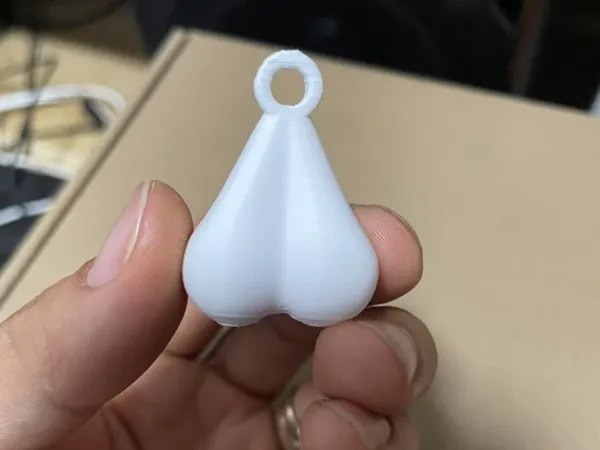 https://makerworld.bblmw.com/makerworld/model/DSM00000001301527/design/2025-04-09_c8eda6f8ad528.jpg
