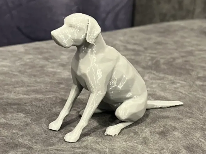 Dog sit Labrador Low poly