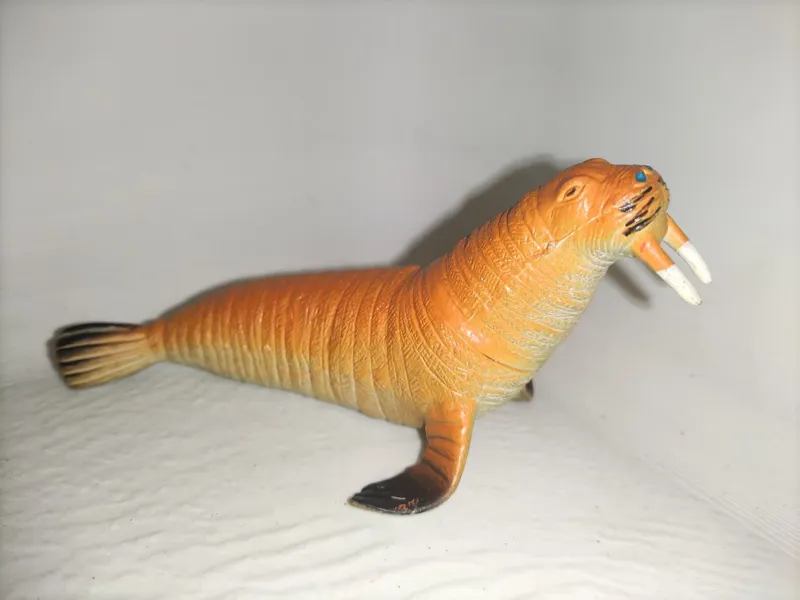 海象