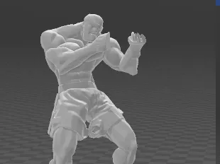 sagat-svc