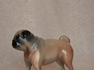 Cane