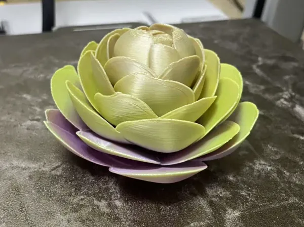 https://makerworld.bblmw.com/makerworld/model/DSM00000001305129/design/2025-04-10_7135475bded6e.jpg
