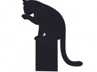 Cat Sitting