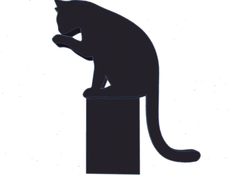 Cat Sitting