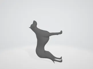 dog