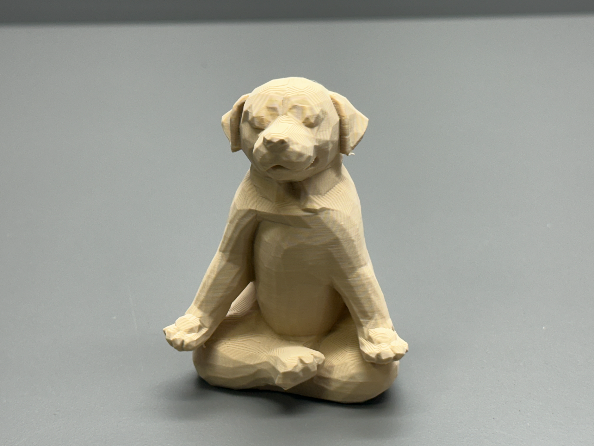 Düşük çokgen yoga meditasyon köpek