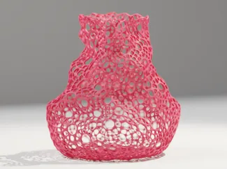 Vase voronoi B