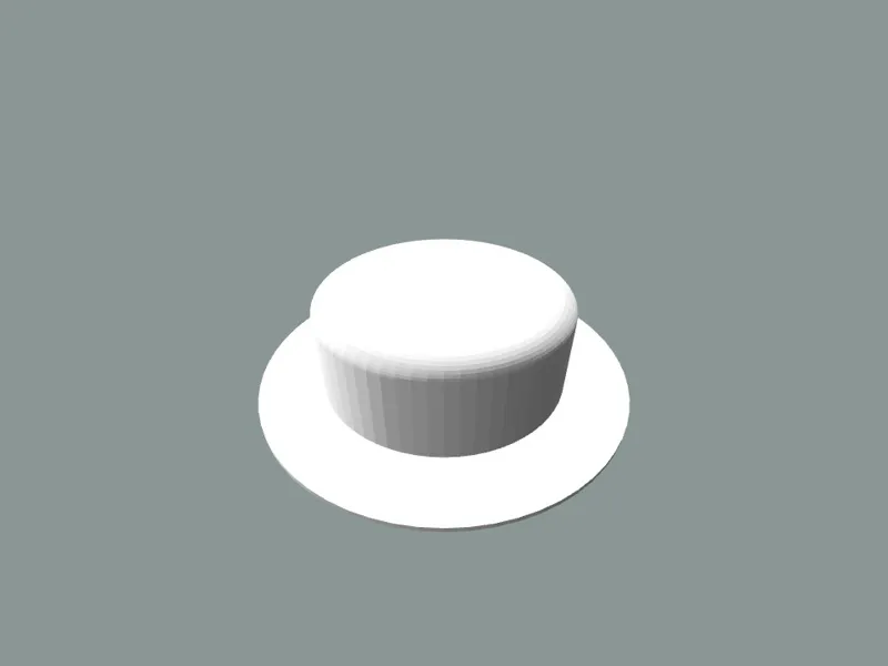 hat