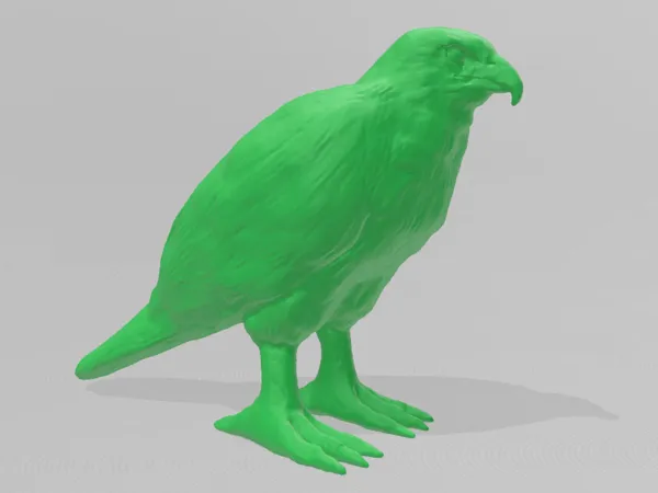 Petit oiseau (faucon)