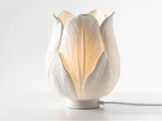 tulipano