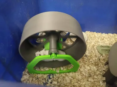Hamster Wheel