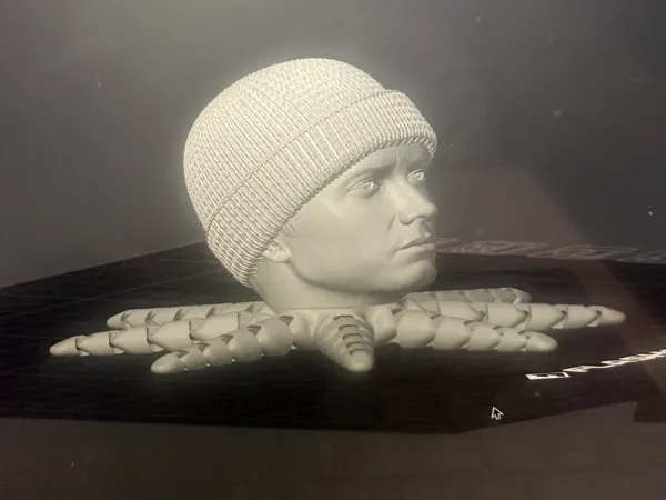 https://makerworld.bblmw.com/makerworld/model/DSM00000001314015/design/2025-04-12_c149eafaadf3d8.jpg