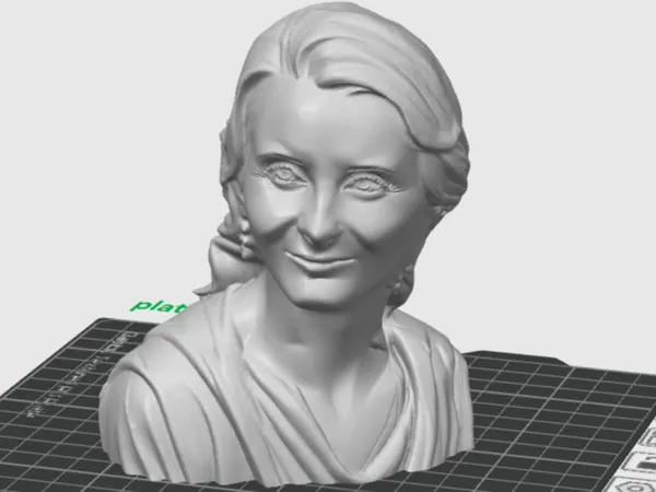 https://makerworld.bblmw.com/makerworld/model/DSM00000001314036/design/2025-04-13_ff96771c9c48d.png