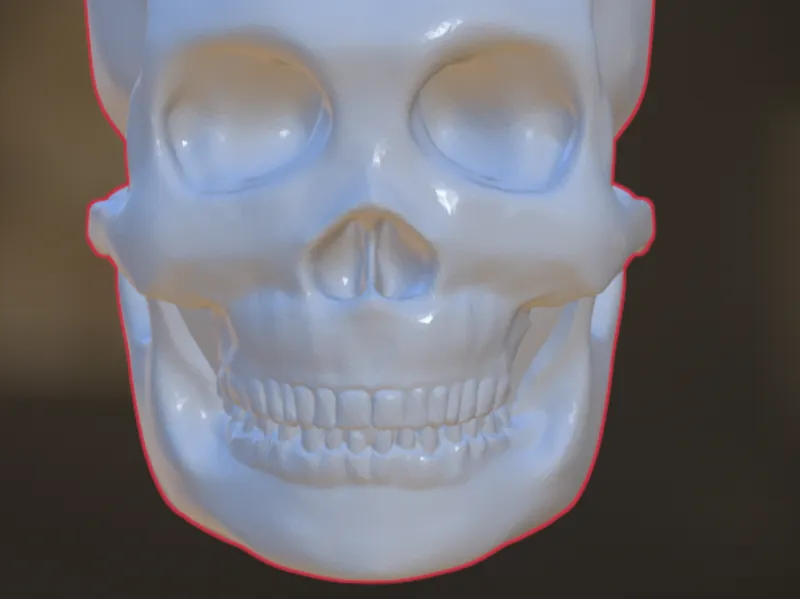 Skull Flat Back