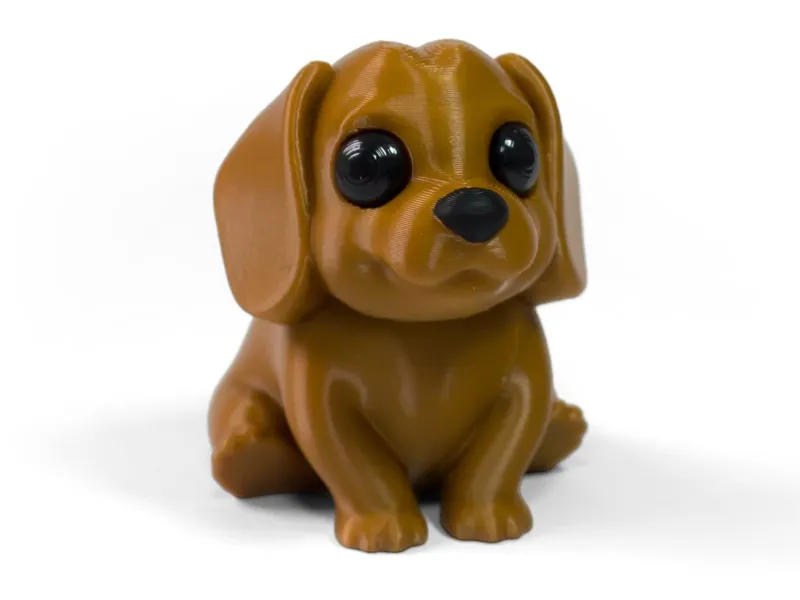 腊肠犬幼崽