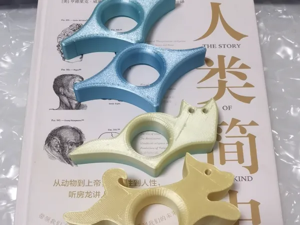 https://makerworld.bblmw.com/makerworld/model/DSM00000001321362/design/2025-04-14_672c9bb193ec48.jpg