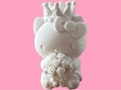 Kitty Cat giving roses