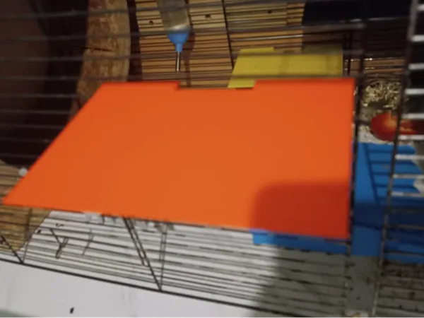 https://makerworld.bblmw.com/makerworld/model/DSM00000001322202/design/2025-04-15_6f27fa5d741de8.jpeg