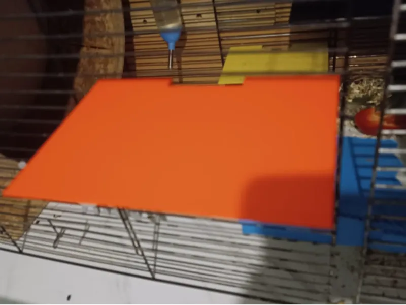 Shelf for rodent cages