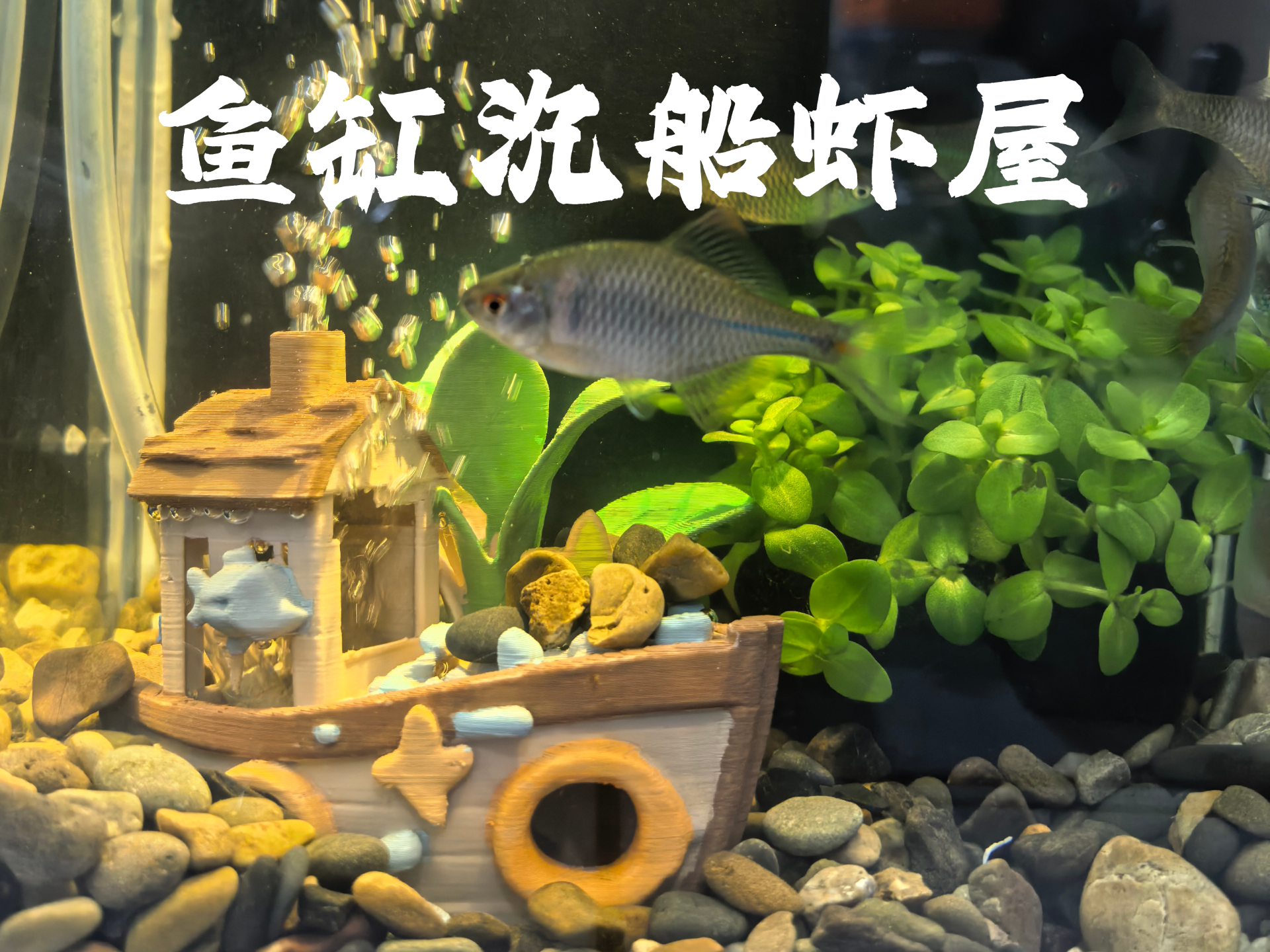 鱼缸沉船虾屋
