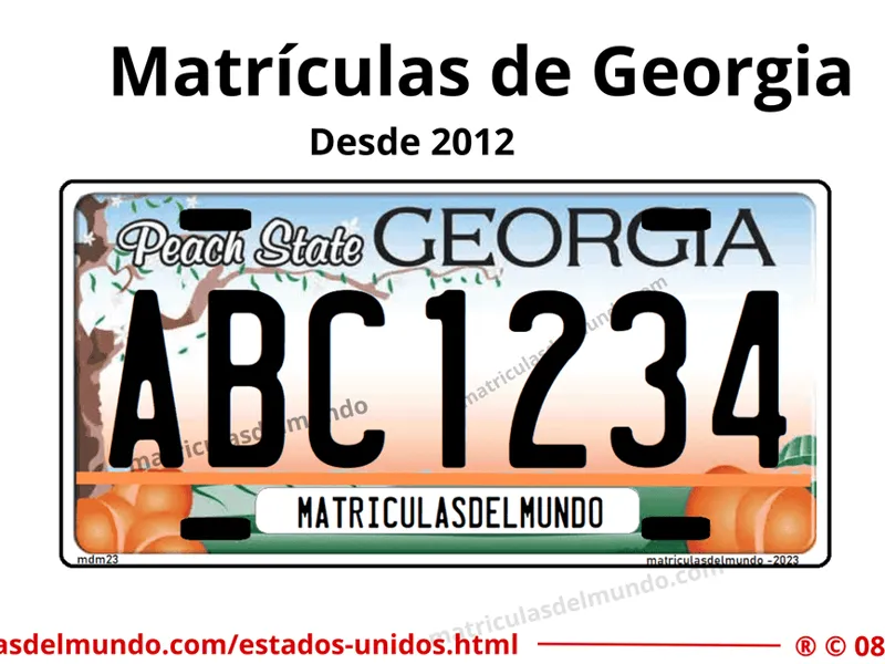 MATIRCULA georgia
