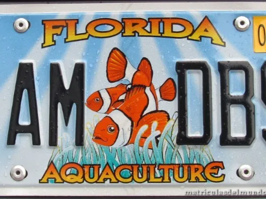 MATIRCULA florida
