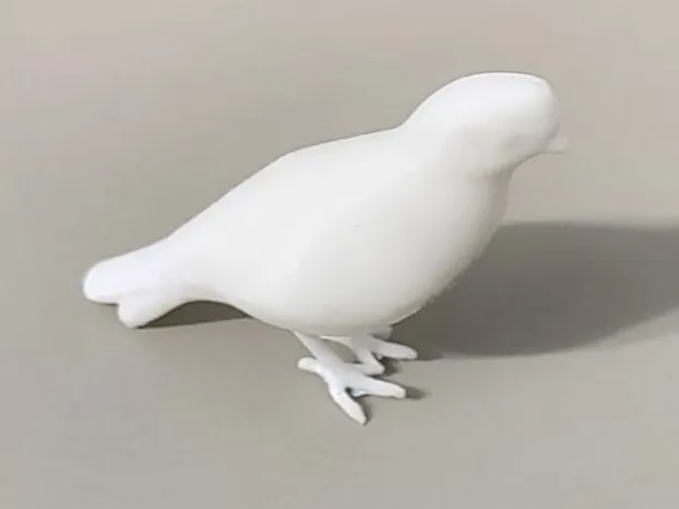 Quail