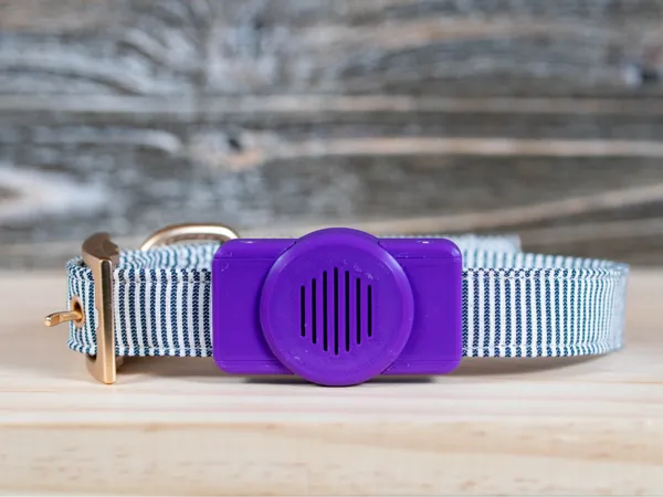 https://makerworld.bblmw.com/makerworld/model/DSM00000001324933/design/2025-04-15_5519f1ada7c2.jpg