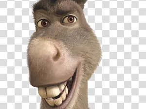 Donkey Keychain
