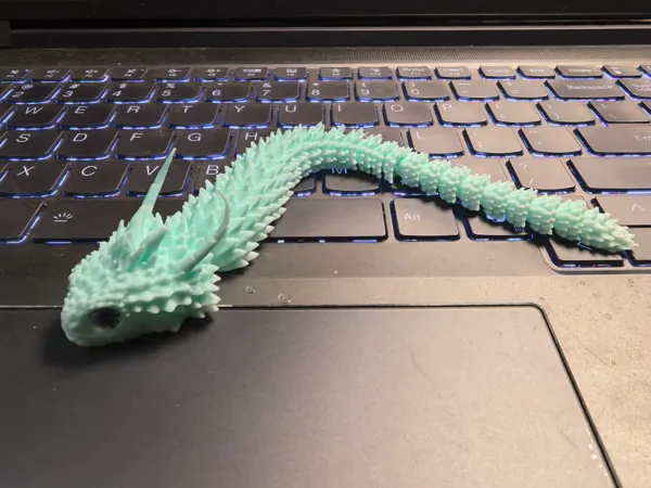 https://makerworld.bblmw.com/makerworld/model/DSM00000001326557/design/2025-04-16_711fb4d3ef021.jpg