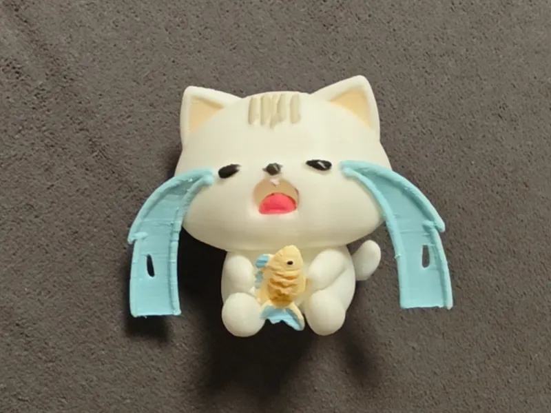 爱哭的猫