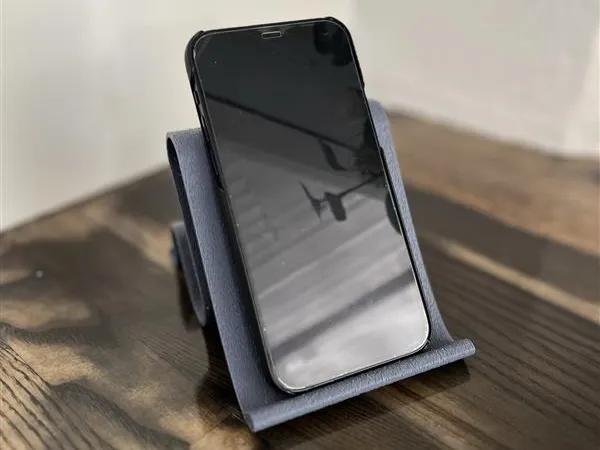 Phone and Earbud Holder