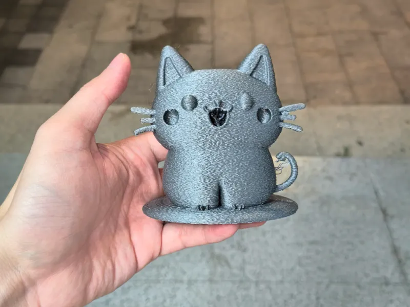 坐姿猫猫
