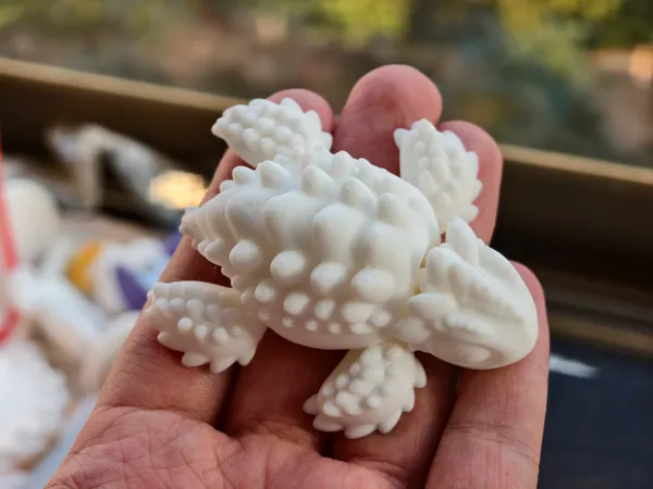 https://makerworld.bblmw.com/makerworld/model/DSM00000001332489/design/2025-04-18_4a4df544509fc.jpg