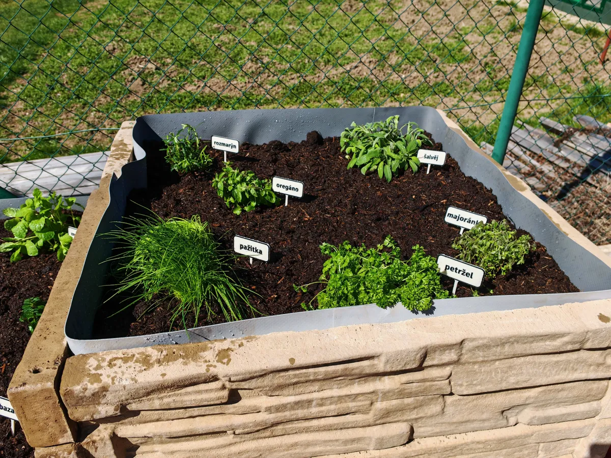 Herb Garden Markers by xBenny MakerWorld: Download Free 3D Models - 3D model önizlemesi